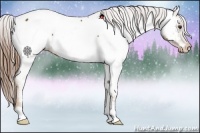 Horse Color:Chestnut Near Fewspot 