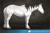 Horse Color:Bay Roan Dun Splash Rabicano