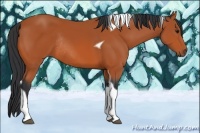 Horse Color:Bay Tobiano Rabicano