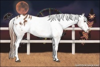 Horse Color:Chestnut Splash Varnish 