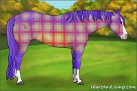 Horse Color:Watercolor Plaid Bay Splash