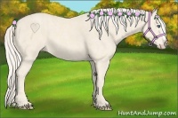 Horse Color:Cremello Splash Brindle