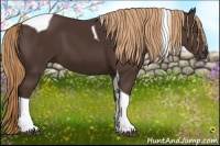 Horse Color:Liver Chestnut Tobiano 
