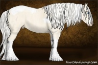 Horse Color:Cremello Splash Tobiano  Brindle