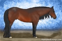 Horse Color:Bay Frame 