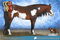 Horse Color:Bay Frame