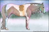 Horse Color:Silver Grullo Sabino Tobiano