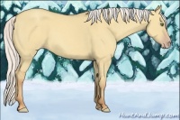 Horse Color:Silver Classic Champagne Dun 