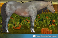 Horse Color:Brown Ice  Brindle