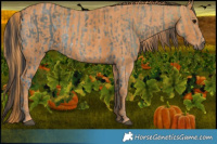 Horse Color:Brown Ice  Brindle