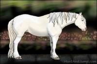 Horse Color:Perlino Dun Tobiano 