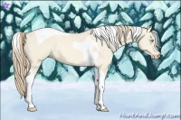 Horse Color:Perlino Dun Tobiano 