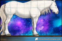 Horse Color:Plaid  Perlino Dun Tobiano 