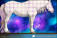 Horse Color:Plaid Perlino Dun Tobiano