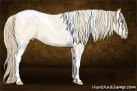 Horse Color:Perlino Dun Tobiano 