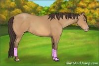 Horse Color:Amber Champagne