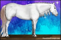 Horse Color:Brown Dun Sabino Frame Appaloosa Rabicano 