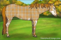 Horse Color:Plaid  Red Dun Splash  Brindle