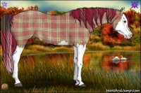 Horse Color:Plaid Liver Red Dun Splash Rabicano Brindle