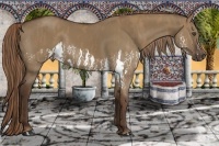 Horse Color:Liver Red Dun Splash  Brindle