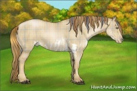 Horse Color:Plaid Red Dun Pearl Splash Brindle