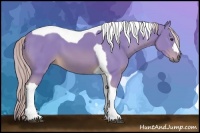 Horse Color:Watercolor Chestnut Tobiano 