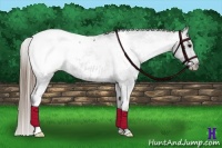 Horse Color:Smoky Black Snowcap 