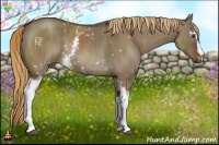 Horse Color:White Spotted Liver Red Dun Rabicano  Brindle