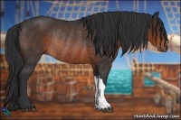 Horse Color:Brown Rabicano