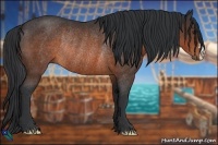 Horse Color:Brown Rabicano
