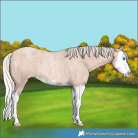 Horse Color:Silver Sable Champagne Roan Splash 