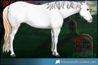 Horse Color:Buckskin Ice Varnish 