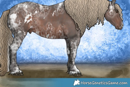Horse Color:White Spotted Liver Chestnut Ice Sabino Rabicano 