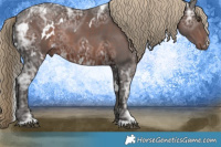 Horse Color:White Spotted Liver Chestnut Ice Sabino Rabicano