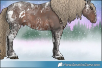 Horse Color:White Spotted Liver Chestnut Ice Sabino Rabicano 