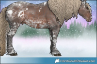 Horse Color:White Spotted Liver Chestnut Ice Sabino Rabicano 