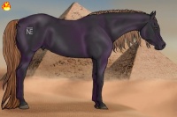 Horse Color:Liver Chestnut Frame 