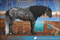 Horse Color:Brown Ice Rabicano 