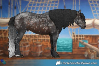 Horse Color:Brown Ice Rabicano