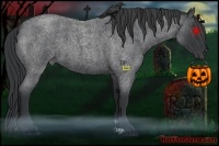 Horse Color:Blue Roan Frame