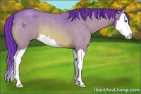 Horse Color:Watercolor Bay Roan Splash