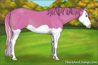 Horse Color:Watercolor Chestnut Splash 