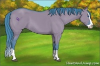 Horse Color:Watercolor Smoky Grullo Splash