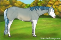 Horse Color:Watercolor Bay Dun Splash 