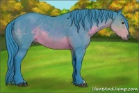 Horse Color:Watercolor Buckskin 