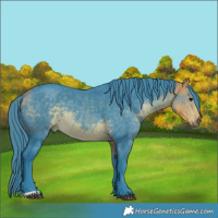 Horse Color:Watercolor Buckskin 
