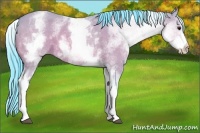 Horse Color:Watercolor White Spotted Bay Dun 