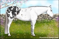 Horse Color:Brown Blanket 