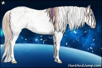 Horse Color:Plaid Smoky Black Pearl Sabino Splash Rabicano