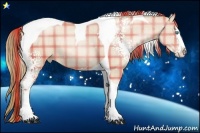 Horse Color:Plaid White Spotted Smoky Black Pearl Splash Tobiano Rabicano